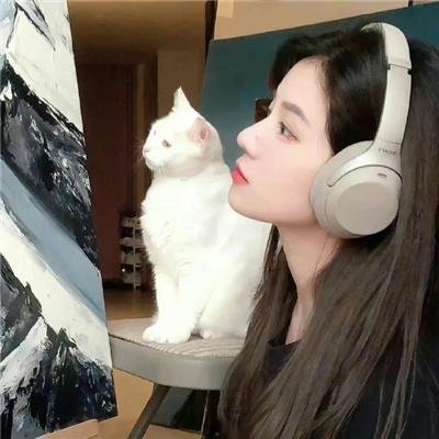 功夫梦:融合之道 海报