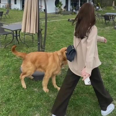 欢乐颂3 海报